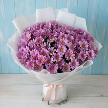 Букет цветов из:  Хризантемы #REPLACE_PRED# Энгельсе