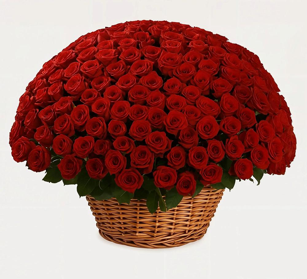 Премиум букет из: Розы в Энгельсе