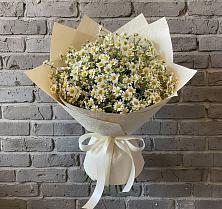 Букет цветов из:  Ромашки в Энгельсе