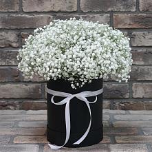 Цветочная композиция из Гипсофила в шляпной коробке в Энгельсе