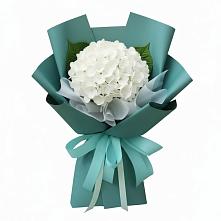Букет цветов из:  Гортензия в Энгельсе
